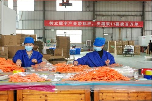 天貓雙11開(kāi)門紅 產(chǎn)業(yè)帶廠貨成交額同比激增1700%，餐飲服務(wù)迎來(lái)消費(fèi)新熱潮