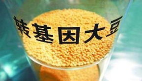 金龍魚(yú)陷轉(zhuǎn)基因門風(fēng)波 專家稱安全性尚無(wú)定論，對(duì)酒類經(jīng)營(yíng)有何啟示？