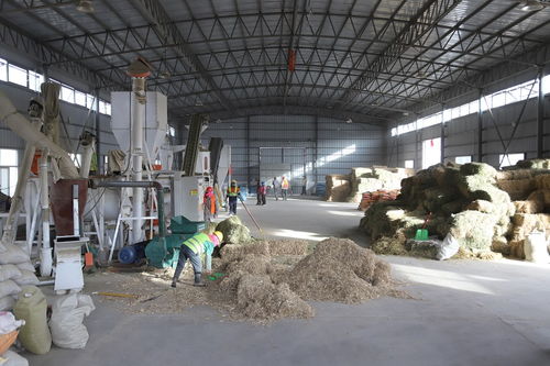 肅南皇城鎮河西村 飼草料加工廠里的溫暖生產線，守護草原初級食用農產品